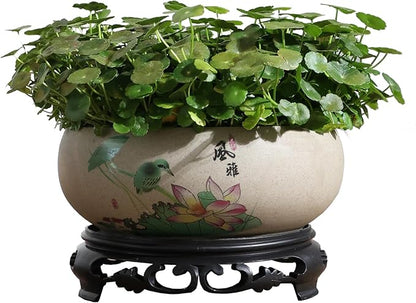 TOIVO Lotus Bowl Planter, Coarse Pottery Water Lily Flower Pot with Plastic Base, 7.8 inches (B-3)