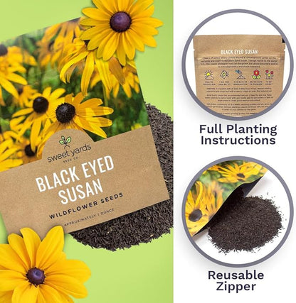 Black Eyed Susan Seeds – Extra Large Packet – Over 100,000 Open Pollinated Non-GMO Wildflower Seeds – Rudbeckia hirta