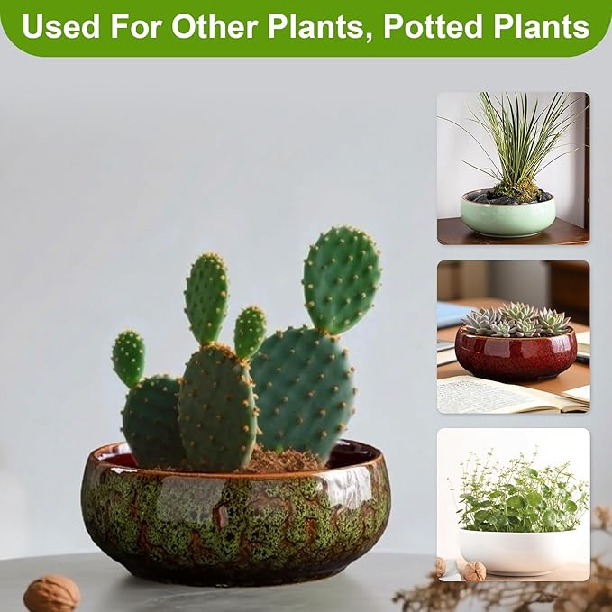 Lotus Bowl Planter, Lotus Bowls for Planting in Water Indoors, Ceramic Planters for Indoor Plants, Thickened Round Planter, for Succulent Plants Leak-Proof Design (Green)