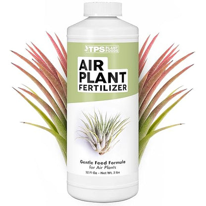 Air Plant Fertilizer – Concentrated Liquid- Soak or Spray Feeding - Plant Food for All Tillandsia (8 oz)