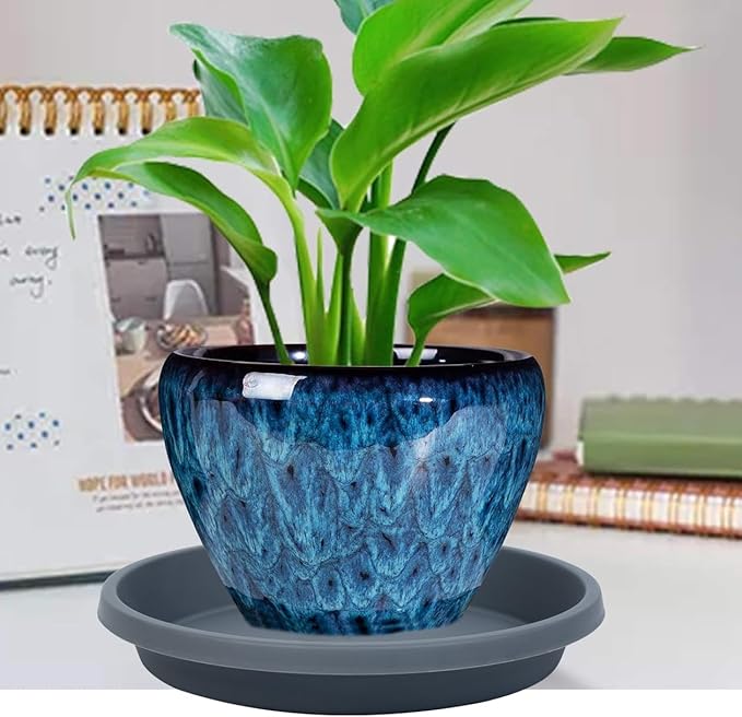 Plant Saucer 10 Inch 5 Pack Thickened Plastic Plant Saucers Drip Trays for Indoor Plants and Outdoor Pots