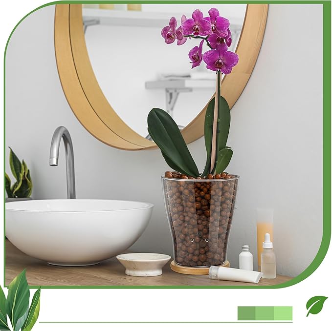 Baderke Glass Orchid Pots with Holes and Bamboo Tray Glass Pot Water Level Control Semi Hydroponic Transparent Root Transparent Indoor Orchid Planter for Home Indoor Outdoor Plant Lovers (6 Inch)