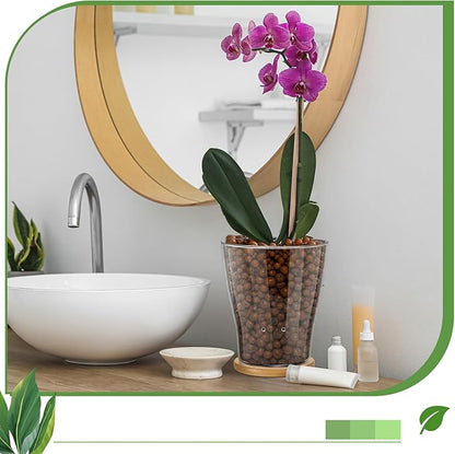 Baderke Glass Orchid Pots with Holes and Bamboo Tray Glass Pot Water Level Control Semi Hydroponic Transparent Root Transparent Indoor Orchid Planter for Home Indoor Outdoor Plant Lovers (6 Inch)