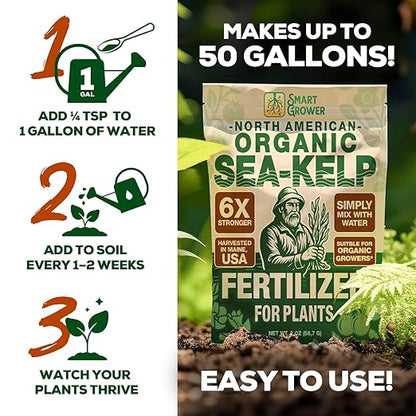 Organic Sea Kelp Fertilizer for Plants – Water-Soluble – Makes 50 Gallons – Kelp Meal Concentrate Plant Food – for Indoor Gardens, Hydroponics, Vegetables, Houseplants - Smart Grower - 2oz Bag