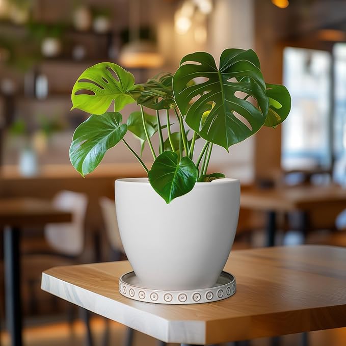 Plant Tray for Pots - Ceramic Plant Saucer for Indoors Outdoors 7.5 Inch Plant Water Catcher Tray Plant Drainage Dray Decorative Flower Pot Saucer Plant Plates to Catch Water White