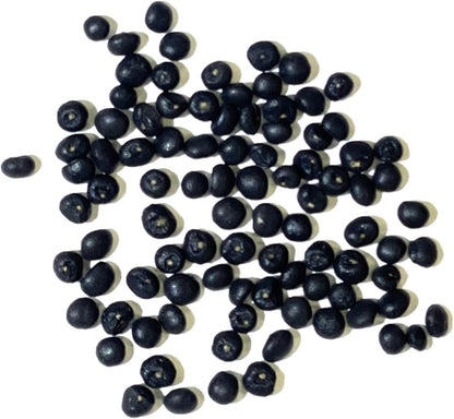 Seed Needs Asparagus Seeds for Planting Mary Washington Asparagus - Non-GMO Heirloom & Untreated Perennial Vegetable Seed to Plant an Outdoor Home Grown Garden (5 Packs)
