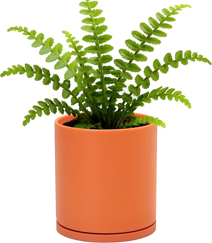 D'vine Dev Double-Layer Planter Set – Rotating Plastic Cachepot with Clear Inner Liner for Root Health, Perfect for Indoor Plants, 6.5", Pumpkin, 73-U-E-2