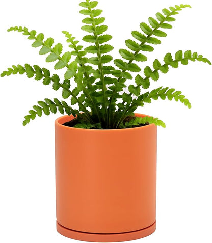 D'vine Dev Double-Layer Planter Set – Rotating Plastic Cachepot with Clear Inner Liner for Root Health, Perfect for Indoor Plants, 6.5", Pumpkin, 73-U-E-2