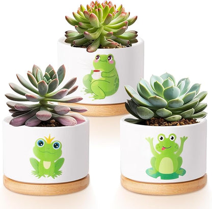 Vesici 3 Pcs Frog Gifts for Women Frog Planter Succulent Pots with Drainage and Bamboo Tray Small Ceramic Succulent Planters Animal Plant Pot for Christmas Office Home Decor Plant Lovers