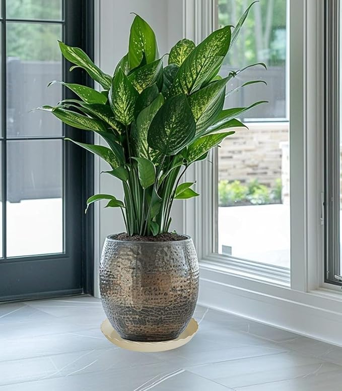 2 Pack of 16 inch Plant Saucer Plant Tray, Plastic Plant Saucer, Heavy Duty Plant Tray for Pots, Plant Saucers for Indoors Planter, Garden Water Plate Bowls for Gallon Grow Bags (Beige)