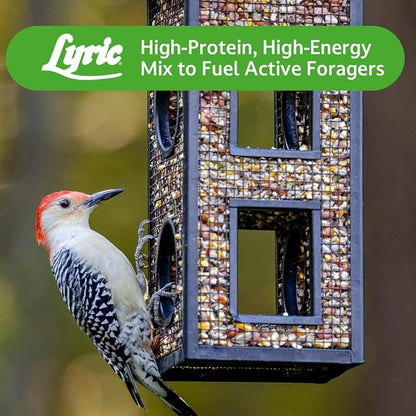 Lyric Woodpecker Wild Bird Seed for Outside Feeders, Shelled, No Waste Bird Seed with Nuts & Dried Fruit, 5 lb Bag