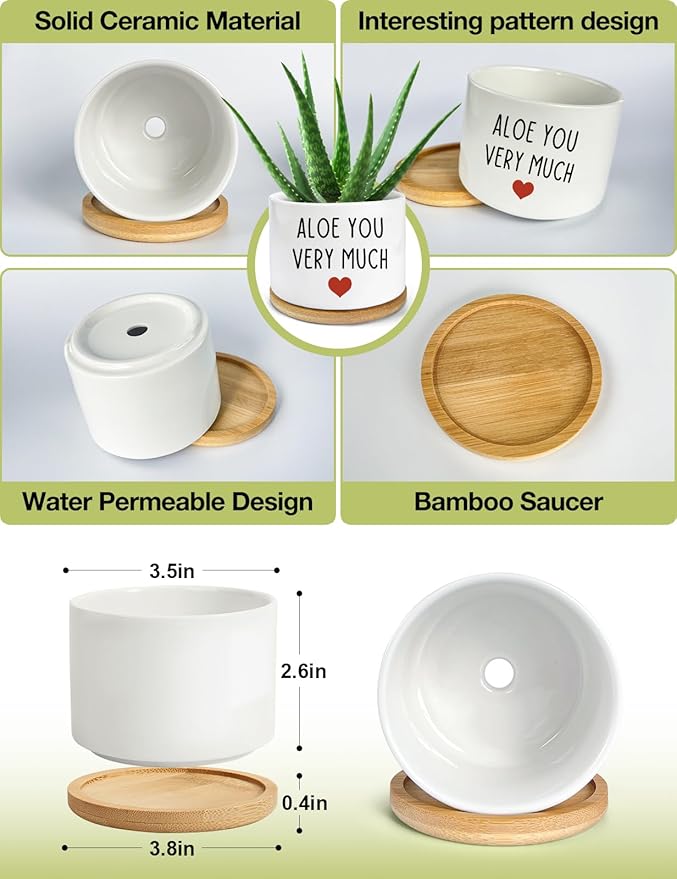 You Very Much- White Ceramic Engraved Mini Succulent Aloe Cactus Planter Pot, Funny Plant Pots Indoor Flower Plant Pots for Home Office Windowsill Levitating Plant Pot Gifts, 3.8 inch
