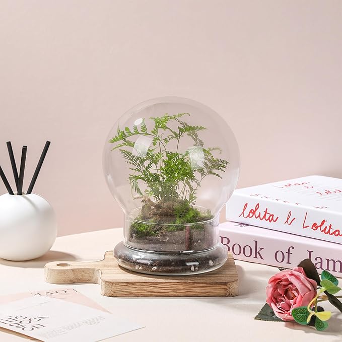 WHJY Round Glass Cloche for Indoor Plants Small Terrarium Glass Cloche with Base Mini Cloche Dome with Base for Display Home Decor