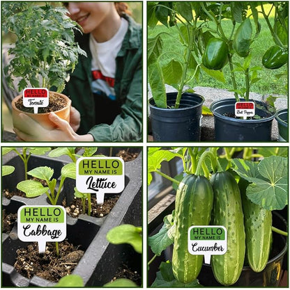 arricraft 15 Pcs Colorful T-Shaped Acrylic Plant Labels, Name Presentation Vegetable Theme Waterproof Garden Stake Labels for Indoor Outdoor Potted Plants Nursery Marker Decoration 4.01x2.68 inches
