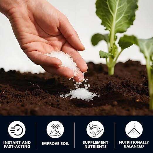 Ammonium Sulfate (21-0-0) – High Nitrogen (21%) & Sulfur (24%) – Water Soluble Crystal Powder – Agricultural Grade for Lawns (2 Pounds)