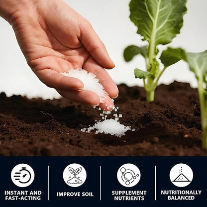 Ammonium Sulfate (21-0-0) – High Nitrogen (21%) & Sulfur (24%) – Water Soluble Crystal Powder – Agricultural Grade for Lawns (2 Pounds)