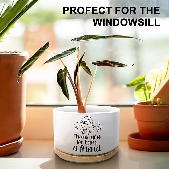 Friendship Ceramic Planter Pot with Drainage Holes and Bamboo Tray Thank You for Being a Friend Succulent Cactus Planter Ideal Gift for Friends Home Decor Indoor Planting Pots (Plant Not Included)