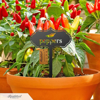 RealSteel Metal Seed & Plant Markers – Elegant Indoor & Outdoor Garden Stakes – Durable Herb, Vegetable & Fruit Plant Labels for Pots, Raised Beds & Greenhouse – Farmhouse Garden Gift - (Garlic)