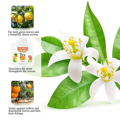 Citrus Fertilizer for All Citrus and Fruiting Trees, Microbial Organic Liquid Plant Food 10 oz (300mL)