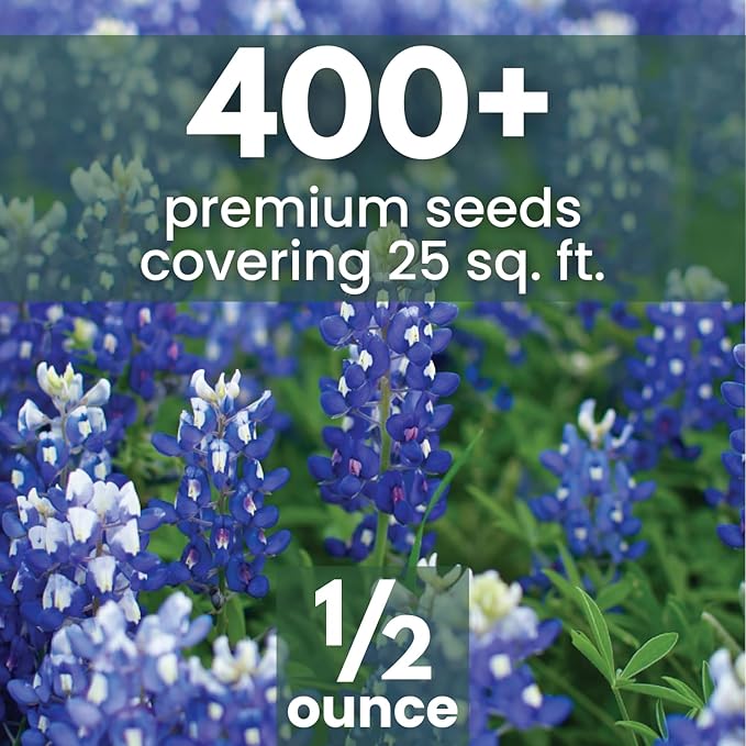 Texas Bluebonnet – 400 Seeds for Planting – 2026 Season – 0.5 Ounce Pouch