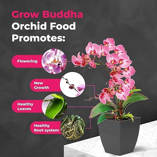 Orchid Food Fertiliser - Liquid Concentrated Garden Fertilizers for Orchid Plants 100 ml Fast Growth with Strong Root & Long-Blooming