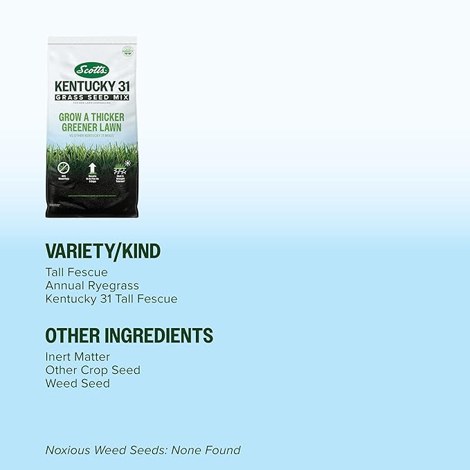 Scotts Kentucky 31 Grass Seed Mix for New Lawns or Overseeding - Lawn Grass Seed That Grows Thicker and Greener vs. Other Kentucky 31 Mixes, Covers up to 10,000 sq. ft.