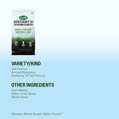 Scotts Kentucky 31 Grass Seed Mix for New Lawns or Overseeding - Lawn Grass Seed That Grows Thicker and Greener vs. Other Kentucky 31 Mixes, Covers up to 5,000 sq. ft.
