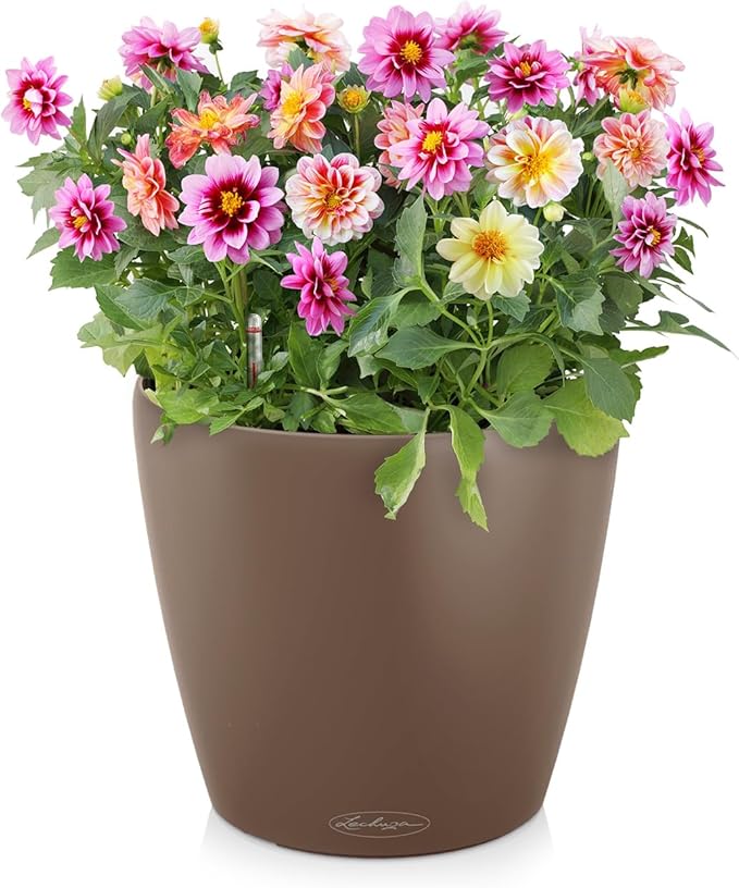 Lechuza Classico Color 35 Nutmeg, Self-Watering Round Planter, D13.8 H11.8 in