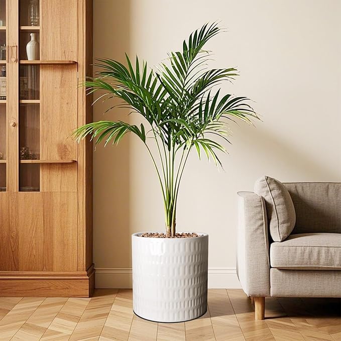 12 Inch Plant Pot,Ceramic Planter with Drainage,Large Planters for Indoor Plants,Indoor&Outdoor Plant pots,Ceramic Flower pots,Cylinder Flower Planter Pot(Pure White)