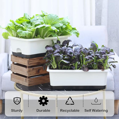 Window Box Planter 6 Pcs, 18 Inches Rectangle Flower Pots with Drainage Holes and Trays, Vegetable Planters for Windowsill Patio Garden Balcony Home Porch Yard Indoor Outdoor (White, 18*10*6 inch)
