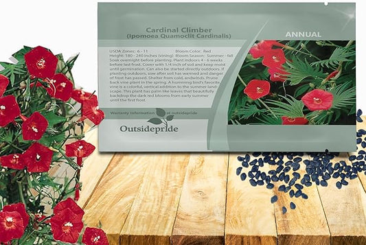 Outsidepride Climber Vine Seeds - 1000 Pcs. Annual, Versatile, Hardy & Low Maintenance, Flower Seeds for Planting Vibrant Red Trumpet-Shaped Blooms, Great for Landscaping & Pollinator Gardens