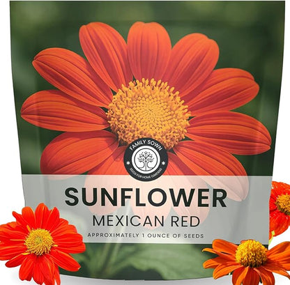 Mexican Sunflower (Red) – 2,000 Seeds for Planting – 1 Ounce Pack – 2026 Growing Season