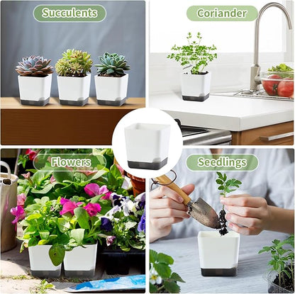 3 inch Small Nursery Pots, Seedling Pots, 20 Pack Plastic Plant Pots for Indoor Outdoor Plants, Decorative White Succulent Flower Pots with Drainage Holes and Saucers