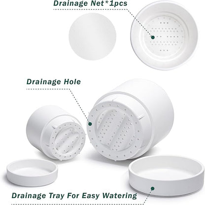 Phoenix Vine 6 Inch and 8 Inch Planter Pot with Drainage Hole & Deep Water Catch Tray Saucer, Straight Cylindrical Round Pot for Plants, Matte White, 23-A-1-Y