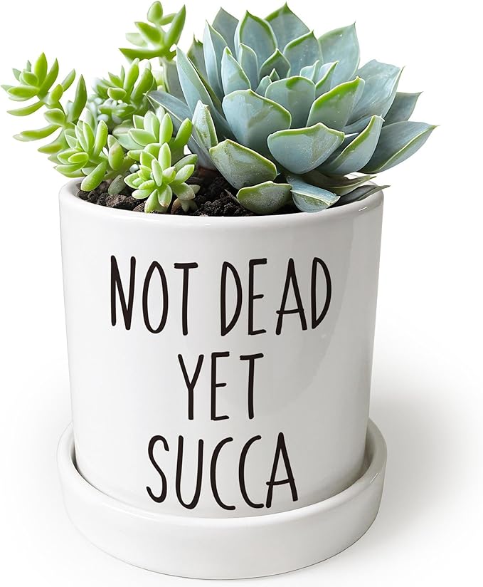 Not Dead Yet Succa - 4.3 inch Funny Succulent Pot, Funny Planter Pots Cactus, Small Plant Pots with Drainage Hole, Home Office Windowsill Pot Decor