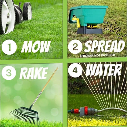 Flawn Seed Kits Simple Lawn Mow Less Fine Fescue Eco-Grass Seed, 8 Lbs, Low Maintenance, Pail with Handle, Covers up to 4000 Sqft