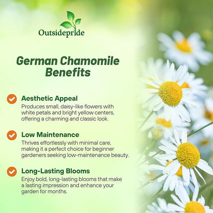 Outsidepride German Chamomile Seeds - 10000 Pcs Annual, Drought Tolerant, Self-Seeding & Versatile, Herb Seeds for Planting Sweet Scented Daisy-Like Blooms, Ideal for Slopes & Pollinator Gardens