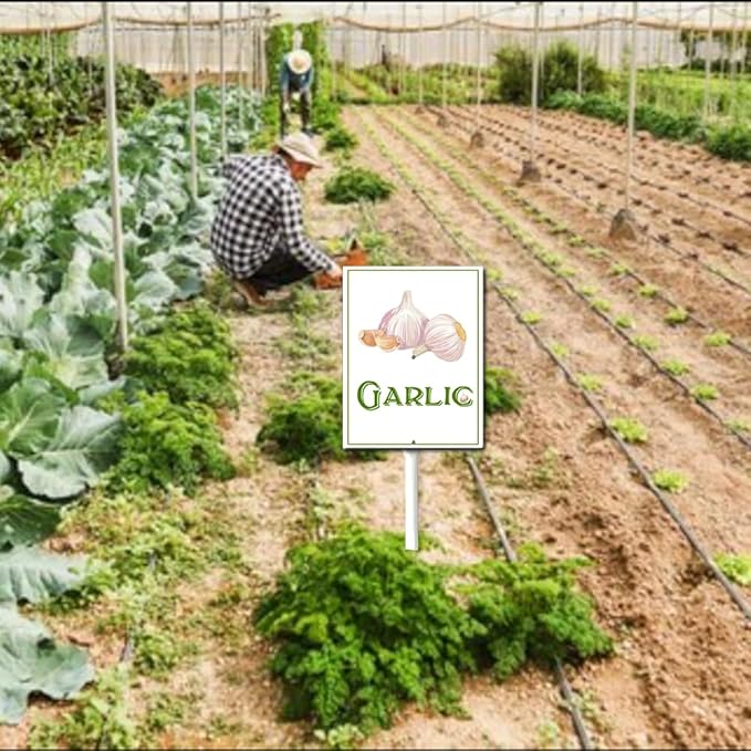 Garden Vegetable Signs With Stake Garlic Garden Signs For Vegetables Vegetable Markers For Outdoor Garden Plants Outdoor Waterproof 6x4.6inch Outdoor Garden Plants Garden Flowers Plants