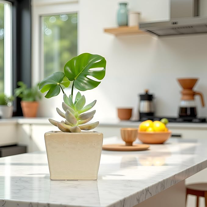 Admired by Nature 4" Ceramic Flower Planter Pot - for Home Decor, Indoor Gardens, Succulents, Organization, Display, Storage - Small White