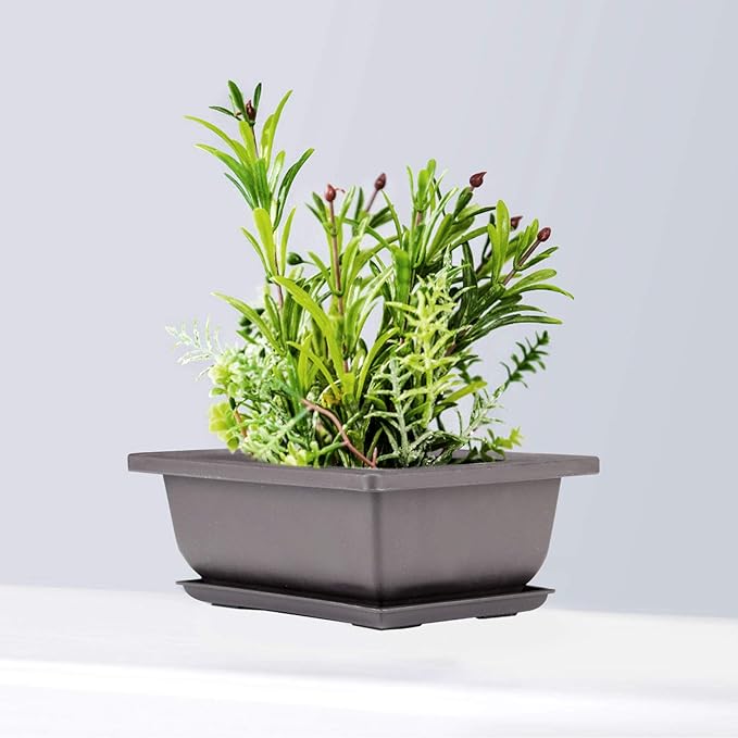 ZOENHOU 20 PCS 6.5 Inch Rectangular Bonsai Training Pots, Premium Plastic Plant Pot with Deep Humidity Trays, for Plants Flowers African Violets Reusable Durable