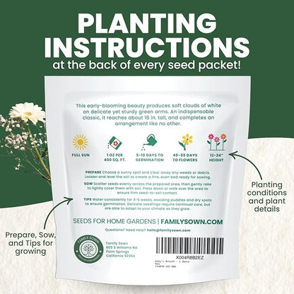 Baby’s Breath – 22,000 Seeds for Planting – 2026 Season – 1 Ounce Pouch