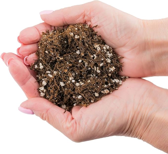 Gardenera Premium Organic Potting Soil, Succulent & Cactus Soil Mix, Fast Draining Pre-Mixed Blend - Horticultural Perlite (25%) + Peat Moss (75%) - Made in USA - 3 Quart