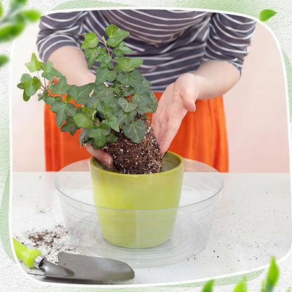Hoolerry 15 Pcs Plastic Plant Saucer Clear Deep Drip Tray Thickened Clear Plant Saucers Trays for Pots Deep Drip Trays for Home Garden Indoor and Outdoor Potted (14 Inch)