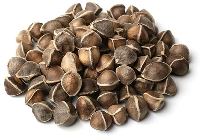 Moringa Seeds Wingless 1 lb. Wide Mouth JAR - PKM1 Variety - Edible Snacking - Planting - Moringa Oleifera - Malunggay - Semillas De Moringa - Drumstick Tree - Non-GMO - 1600 to 2000 Seeds