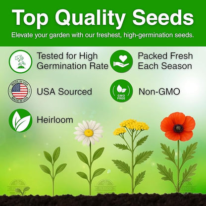 25450+ Wildflower Seeds, Pack for 2026 USA Premium Non-GMO Butterfly & Humming Bird Mixture Seeds - 1 Oz - 24 Open Pollinated Annual and Perennial Species - Bulk Pack