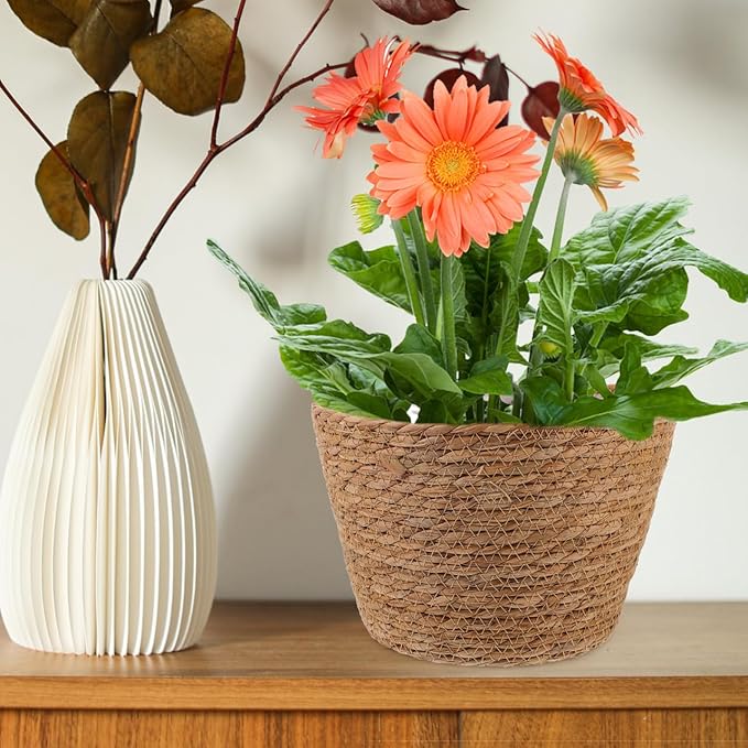 Healifty Straw Woven Plant Basket 2PCS Rattan Flower Basket Indoor with Plastic Liner Natural Stylish for Rustic Boho Home Farmhouse Floor Potted Pots Decor