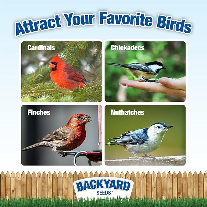 CountryMax Backyard Seeds Berries 'n Nut Blend Bird Seed Mix 40lbs - Premium Seeds, Nuts & Cranberries, Two Medium Bags of Wild Bird Food