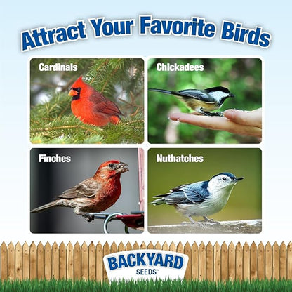 CountryMax Backyard Seeds Berries 'n Nut Blend Bird Seed Mix 40lbs - Premium Seeds, Nuts & Cranberries, Two Medium Bags of Wild Bird Food