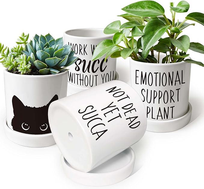 Work Would SUCC Without You Pots - Cute Succulent Planters, 4.3 inch Ceramic Plant Pots, Cute Cactus Planter Pot, Desk Shelf Decor for Home Office