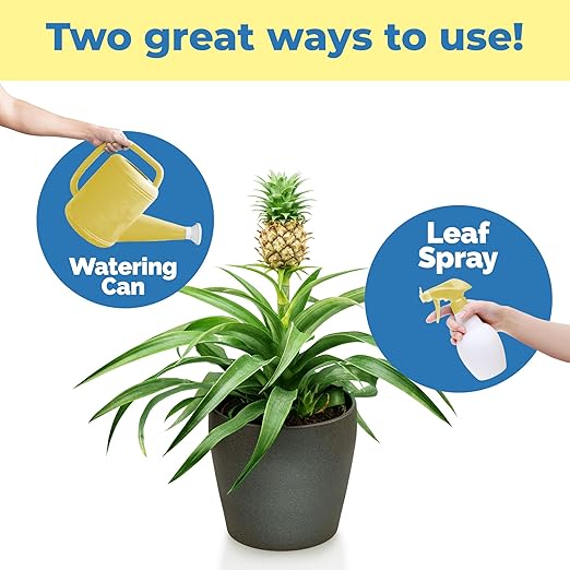 Pineapple Fertilizer for Pineapple Plants, Supports Fruit Production and Indoor/Outdoor Success, Liquid Fertilizer by TPS Plant Foods, 32 oz (1 Quart)